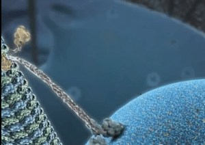 Screen Shot 2014-08-20 at 3.17.28 AM