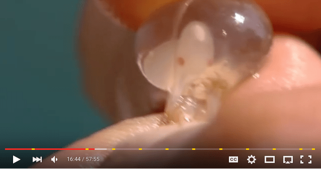 Screen Shot 2016-01-21 at 6.32.41 PM